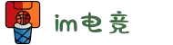 IM(股份有限公司)电竞-电子竞技平台